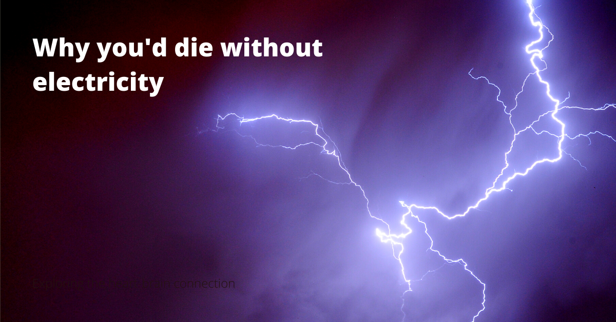 Why you would die without electricity
